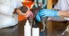 UK vet fee rule change with '£21 cap' but 'serious risk' alert