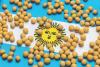 FAS sees slight dip in Argentine soy output