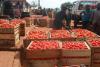Government targets end to tomato imports within four months
