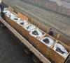 South African Police destroy 11,800 firearms in fight against gun violence