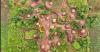 Adjumani district comes top in climate-smart forest programme
