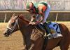 Top Maryland filly sprinter taking to a national stage at Saratoga