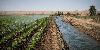 UN: Uzbekistan Makes Major Progress in Reducing Water Stress, but Challenges Remain