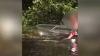 Viral video of woman petting alligator in Florida river is now under investigation