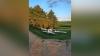 Pilot injured after small plane crashes in Winona County