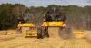Study finds strong regenerative foundations in Scottish barley farms