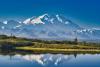 The Best New National Park Books To Read Before Your Trip