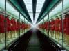 Japan’s largest exhibition of women photographers rights a wrong in cultural history
