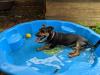 An Extreme Heat Warning Is In Effect For Central Wyoming