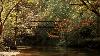 Congress created Big Thicket national preserve to protect Southeast Texas wilderness
