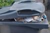 Frustration as Brighton residents wait weeks for a recycling collection