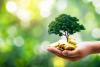 UAE leads Arab world in 2026 Environmental Performance Index