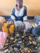Troops arrest foreign terrorist drug supplier in Borno