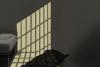 Death, silence, and survival inside New Jersey State Prison