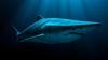 How the Greenland shark's 400-year lifespan could help scientists protect human eyesight