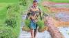 Maharashtra CM Fadnavis announces Rs 2 lakh waiver for Mahatma Phule scheme farmers