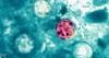 Lee County leads Florida in cases of diarrhea-causing parasite as infections rise statewide