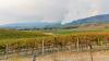 Wildfire risk and warming are reshaping California wine country
