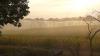 Irrigation helping northeast Nebraska crops weather dry conditions
