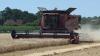 Hampshire farmers consider future moves as pressures shape 2026 harvest 