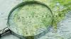 Opportunity Zone 2.0 Designations: How Your Governor Will Pick the 2027-2036 Map