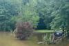 Campers stuck in trees as flash flooding tears through Missouri