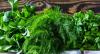 Georgia exports $4.5 million worth of herbs in first half of 2026