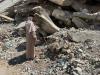 The search for Gaza’s missing brings heartbreak and closure for loved ones