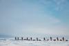 A New One-Time Logistics Provider for North Pole Expeditions