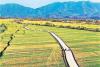 Agricultural trade deficit narrows to $988 million in May