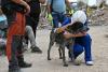 Costa Rican Animal Rescuers Join Venezuela Earthquake Relief Effort