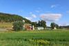 WI farmers can cash in on trees through new federally funded program