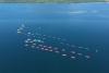 66 percent support President Marco’s assertive response to West Philippine Sea row – OCTA