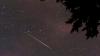 Why Glassy-Winged Sharpshooter threaten California…