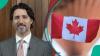 Canada publishes 2 official websites to find jobs, says over 2,000 vacancies are posted daily