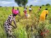 Agriculture minister urges farmers to focus on suitable crops to boost food security