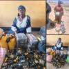 Soldiers Nab Foreign Female National Carrying Drugs To Terrorists In Bo