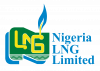 U.S. Agency Backs LNG Project To Boost Energy Access In Northern Nigeria