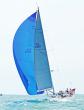 A Heatherton Trophy Race for everyone