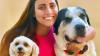 Israel’s ‘Tinder for pets’ is helping shelter animals match with loving homes