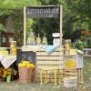 Business 101 at three neighborhood lemonade stands