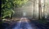 Portugal launches public consultation on National Nature Restoration Plan