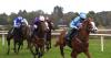 Stack turns to Soumillon as trainer chases first European Group One success at Deauville