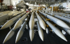 Germany and US expand missile production in Europe