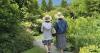 Garden tours around Vermont offer an exclusive peek at exceptional landscapes
