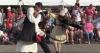 Greek Festival Returns to Erie with Tradition and Taste
