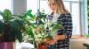 Five savvy tips to perk up wilting leaves and floppy flowers during the hot weather