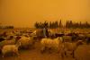 Worst in decades: Dust in the wind: intense storms struck China, US in 2025, says UN