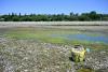 Rapidly depleting reserves: Drought threatens irrigation in northern Italy