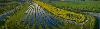LRE Celebrates $1.5-Billion Investment in 725-MW Oklahoma Solar Fleet